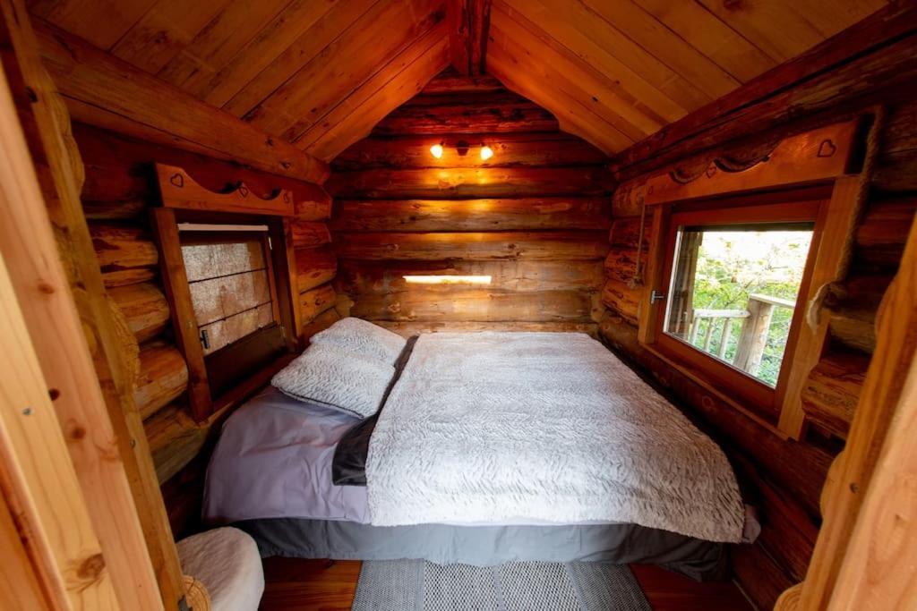 La Cabane Des Colibris Rieupeyroux  外观 照片