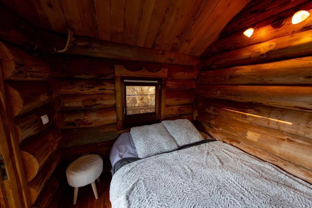 La Cabane Des Colibris Rieupeyroux  外观 照片