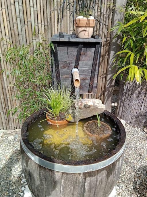 La Cabane Des Colibris Rieupeyroux  外观 照片