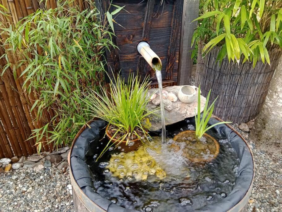 La Cabane Des Colibris Rieupeyroux  外观 照片